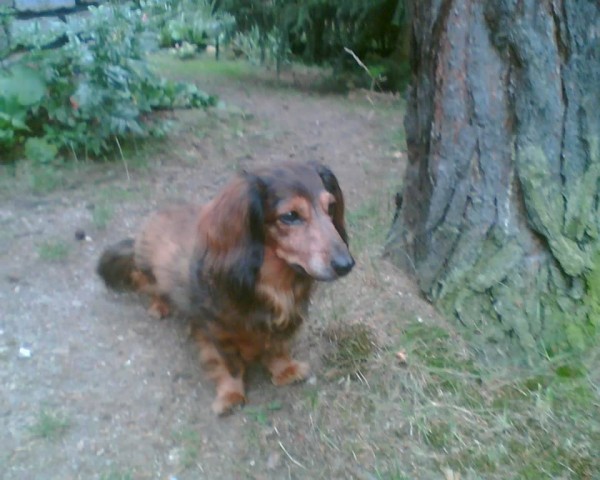 Andy2