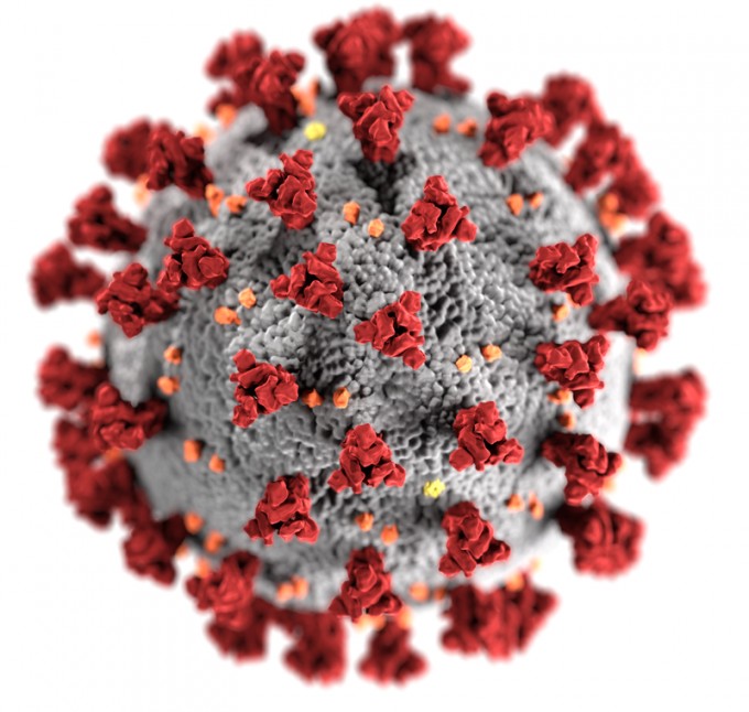 koronavirus
