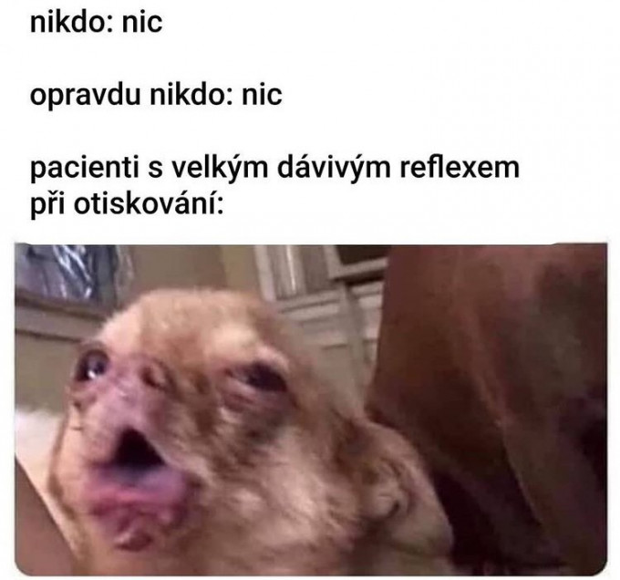 dhmeme13
