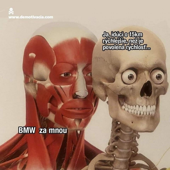 259471392_997696487770628_4458